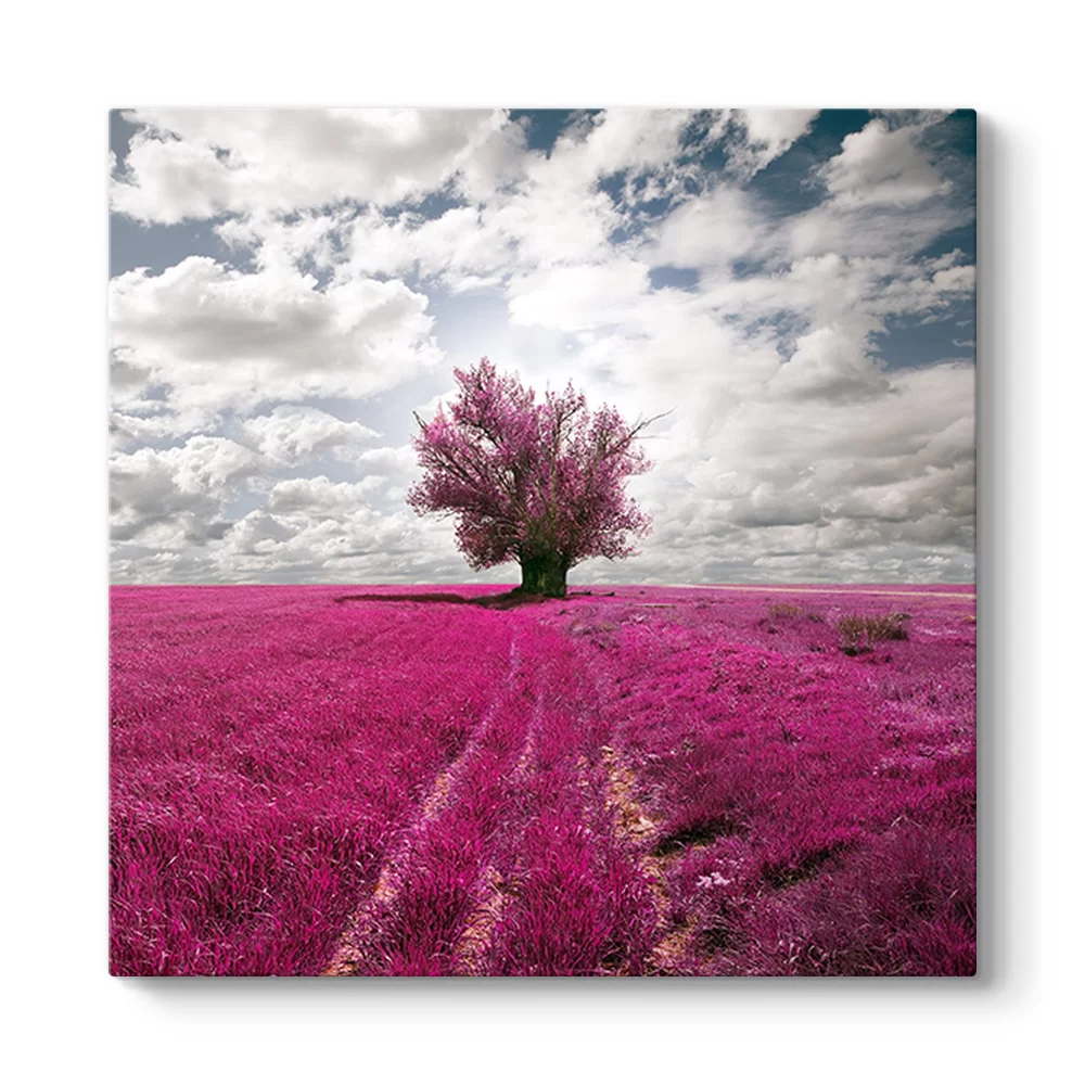 Pembe Alan Tablosu - Model 3